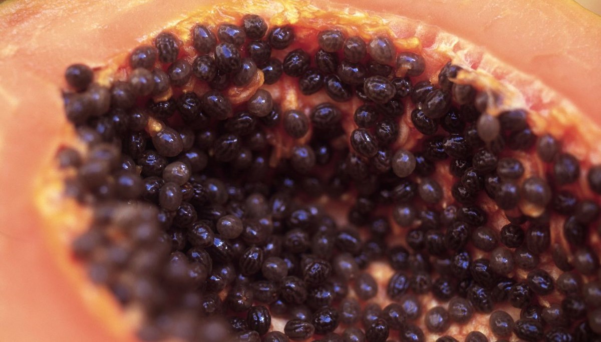 Güne bir kase papaya ile başlamak için 8 neden: Sayısız faydası var