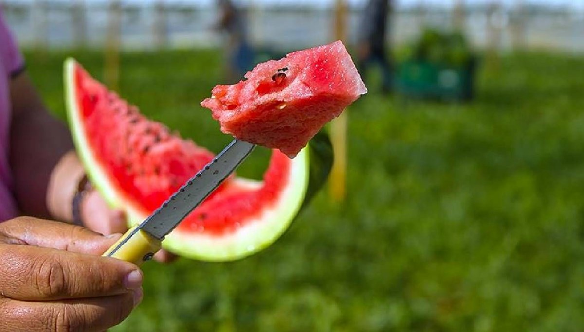 Karpuzda bakteri tehlikesi Karpuzda bakteri tehlikesi