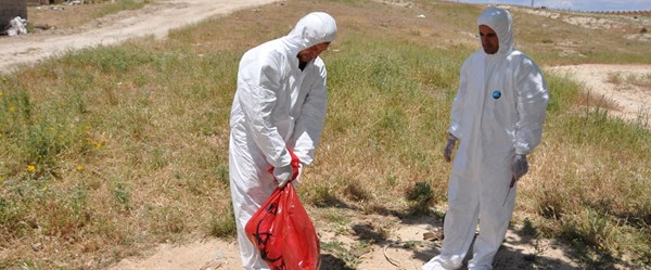 AdÄ±yaman'da bir kÃ¶y kuduz ÅÃ¼phesiyle karantinaya alÄ±ndÄ±