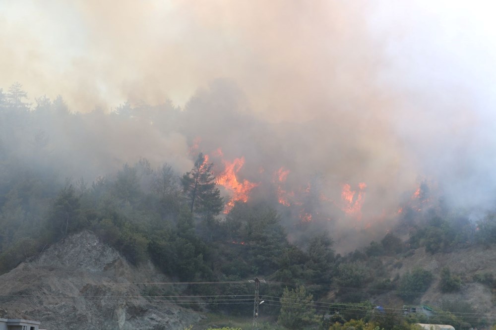 Hatay ve İzmir'de orman yangını - 2