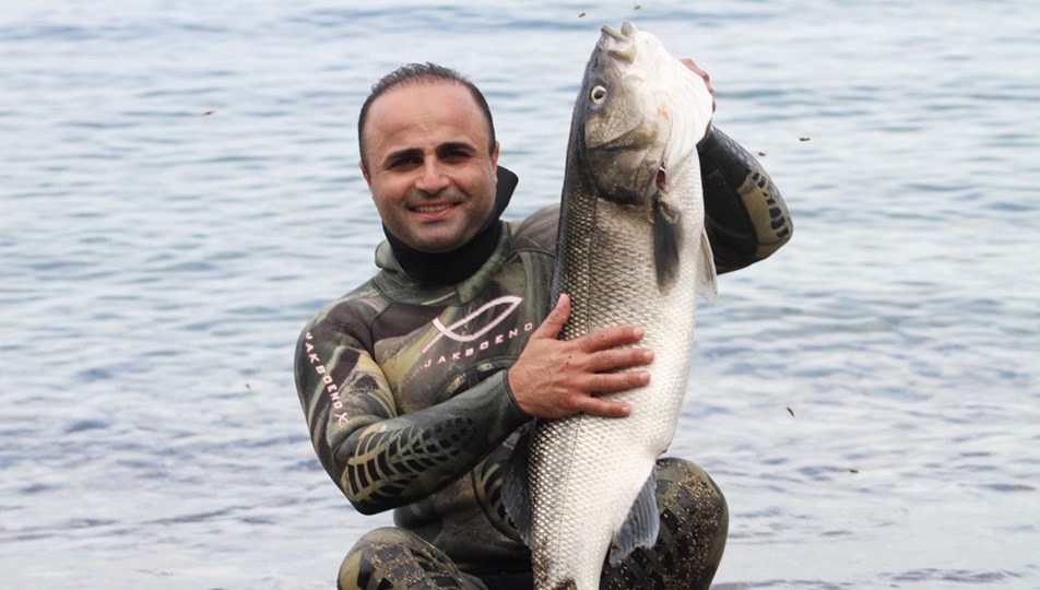 Zıpkınla 8,5 kiloluk levrek yakaladı