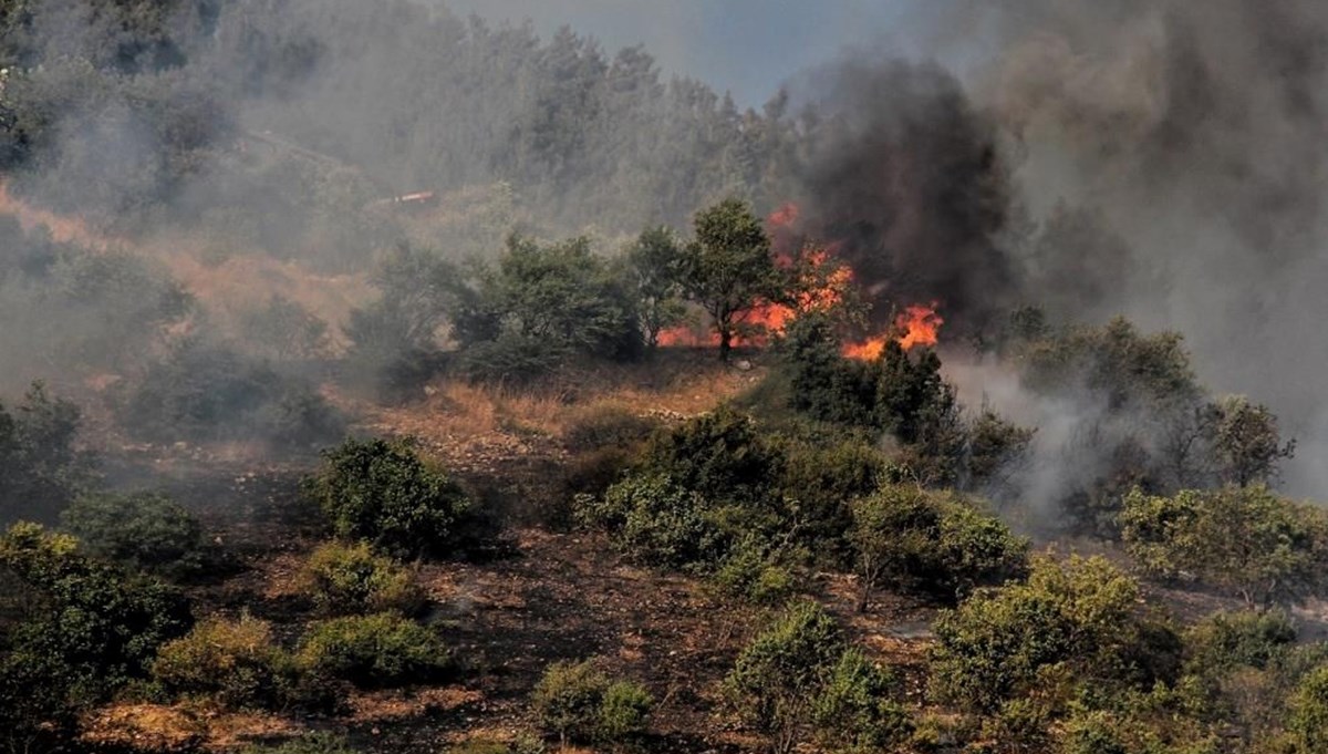 Kahramanmaraş'ta orman yangını