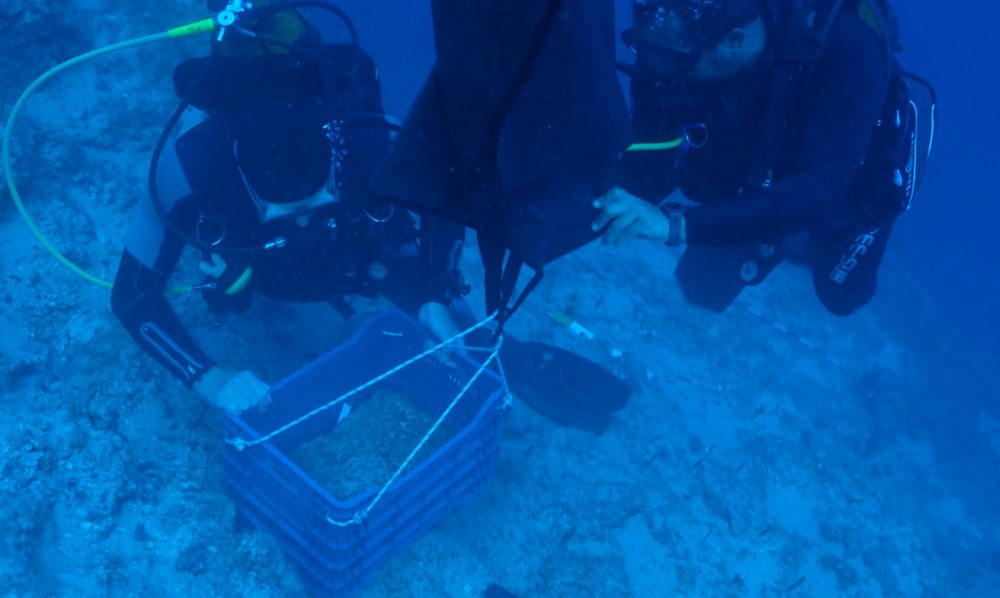 25'er kiloluk külçeler! Antalya'da dünyanın en eski batığında bulundu - 5