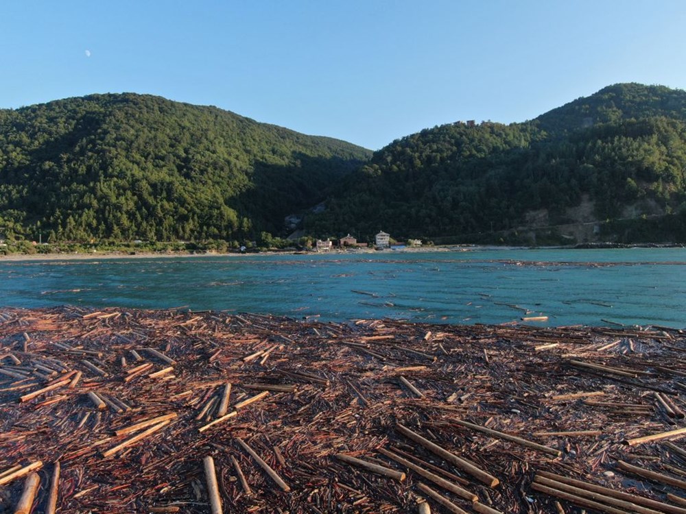 Karadeniz'de tomruk adacıkları - 2