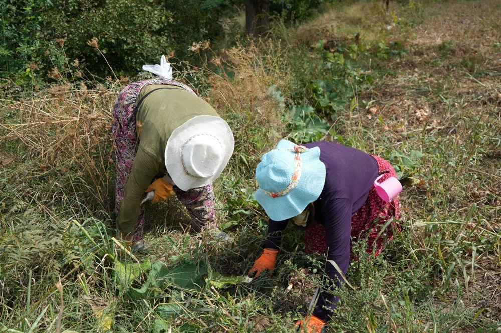 SEAjqkf3O0G24X108pRmmg