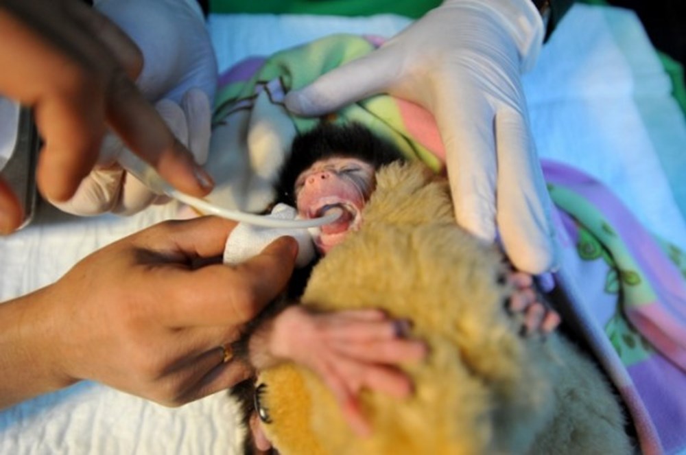 Annesi terk etti NTV Annesi terk etti NTV