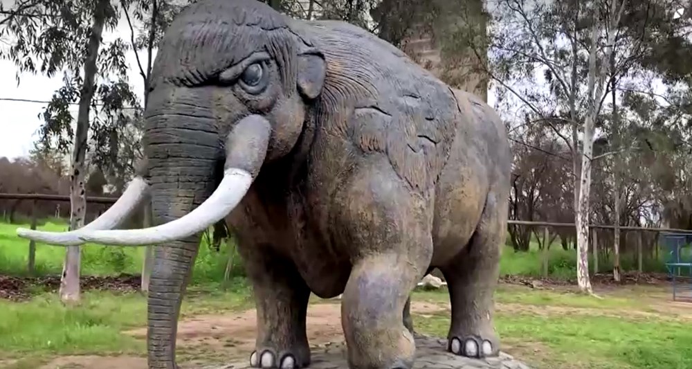 Şili'de 12 bin yıl öncesine ait fil kalıntıları bulundu - 6