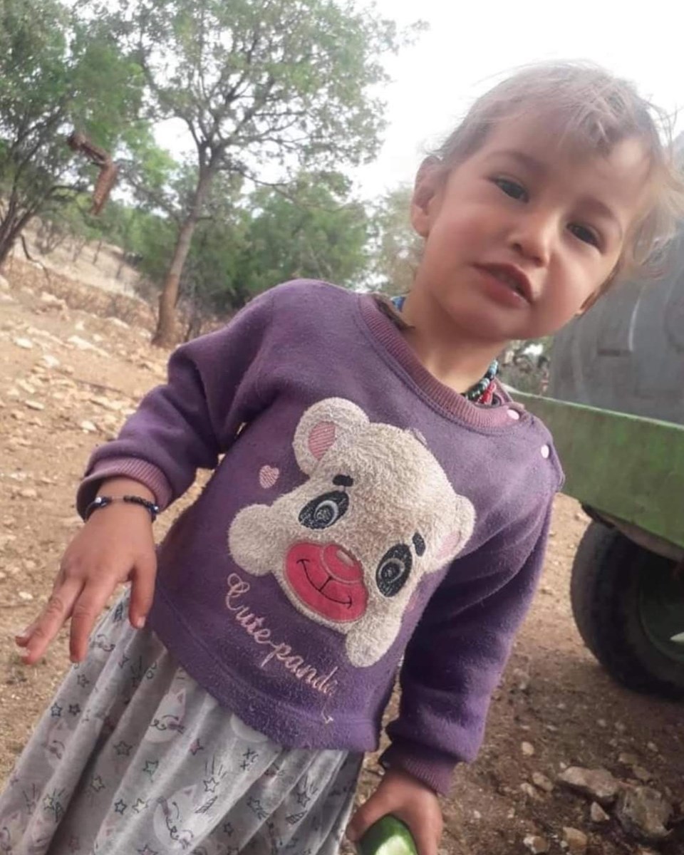Mersin'de kaybolan 3 yaşındaki çocuk aranıyor - 1