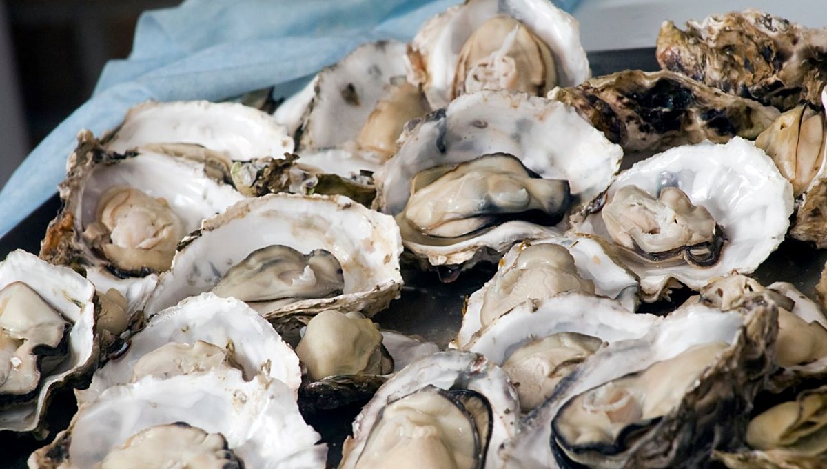 Bağışıklığı güçlendiren 5 besin: Sadece C vitaminiyle sınırlı değil