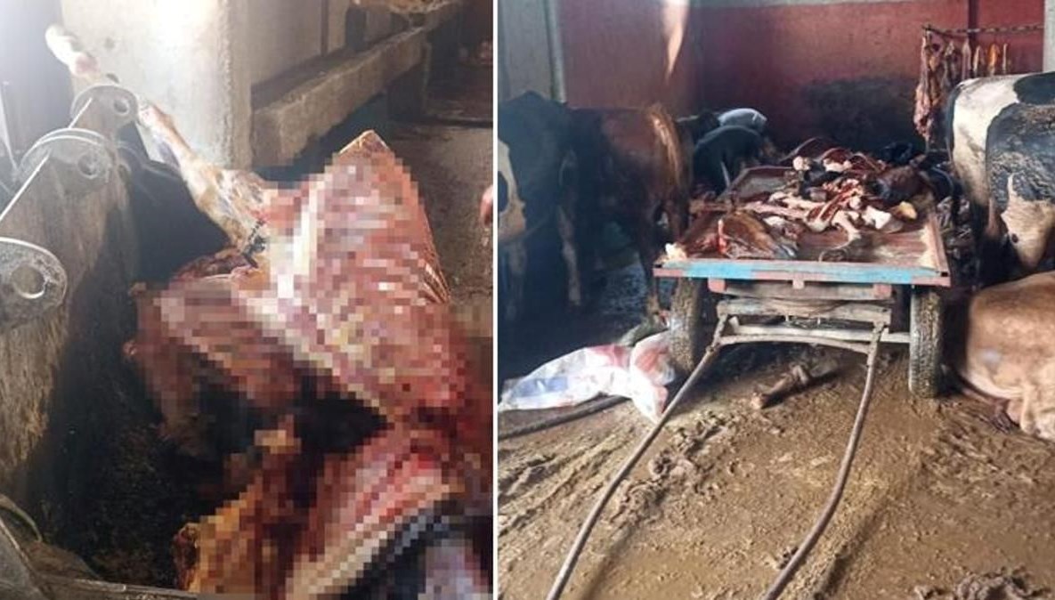 Adana'da 2,5 ton at eti ele geçirildi