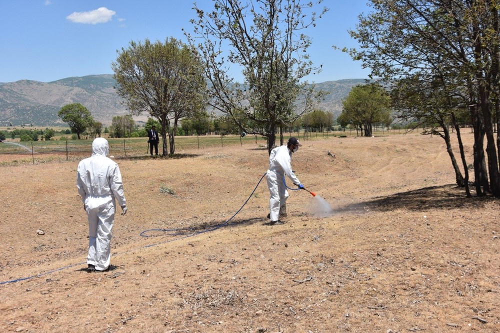 Bitlis'te kuraklık: Çekirge istilasıyla sonuçlandı - 6