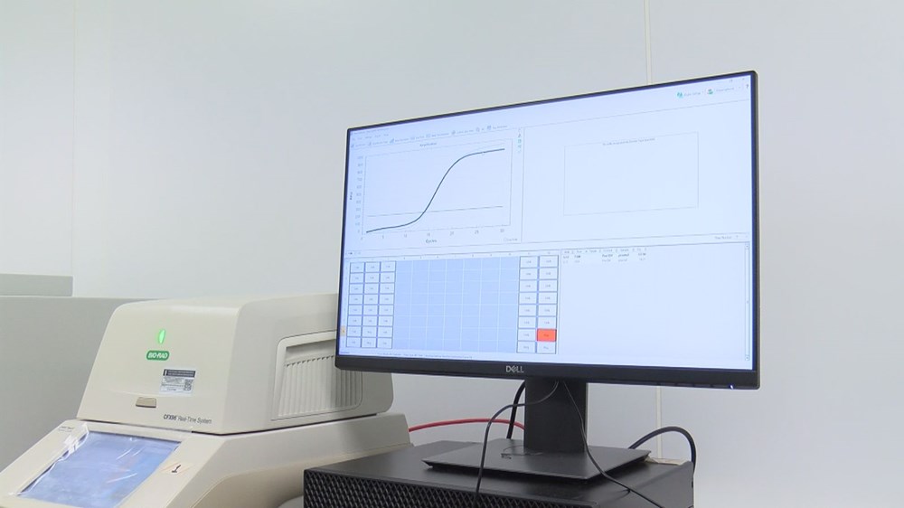 Yerli PCR kiti yolda: Doğruluk oranı yüzde 100'e yakın - 4
