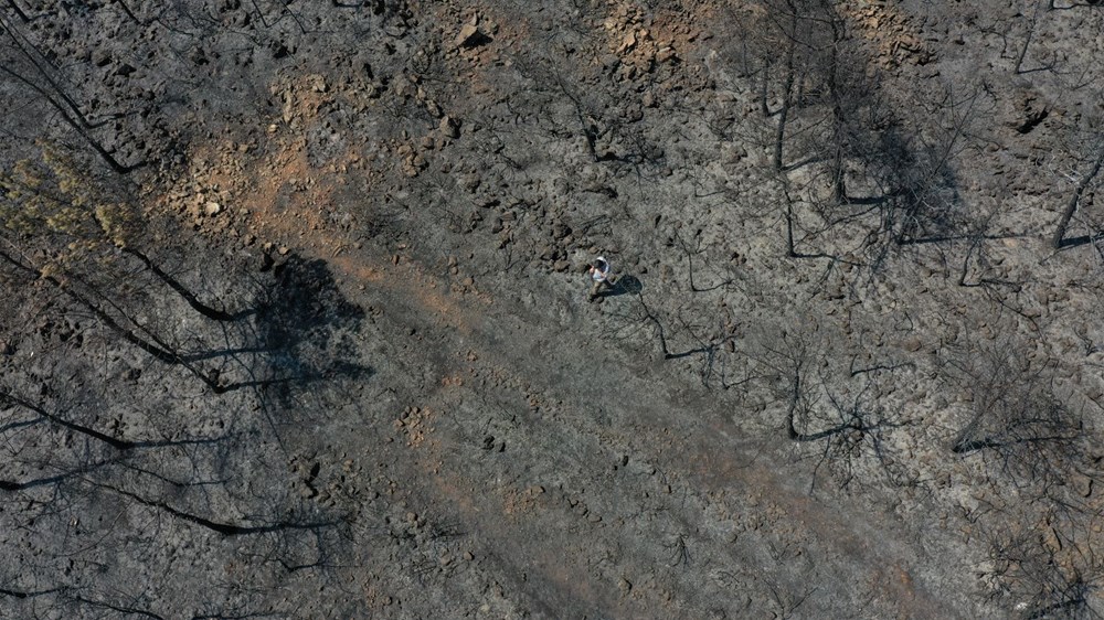 Marmaris'te yanan ormanlık alanda soğutma çalışmaları sürüyor - 11