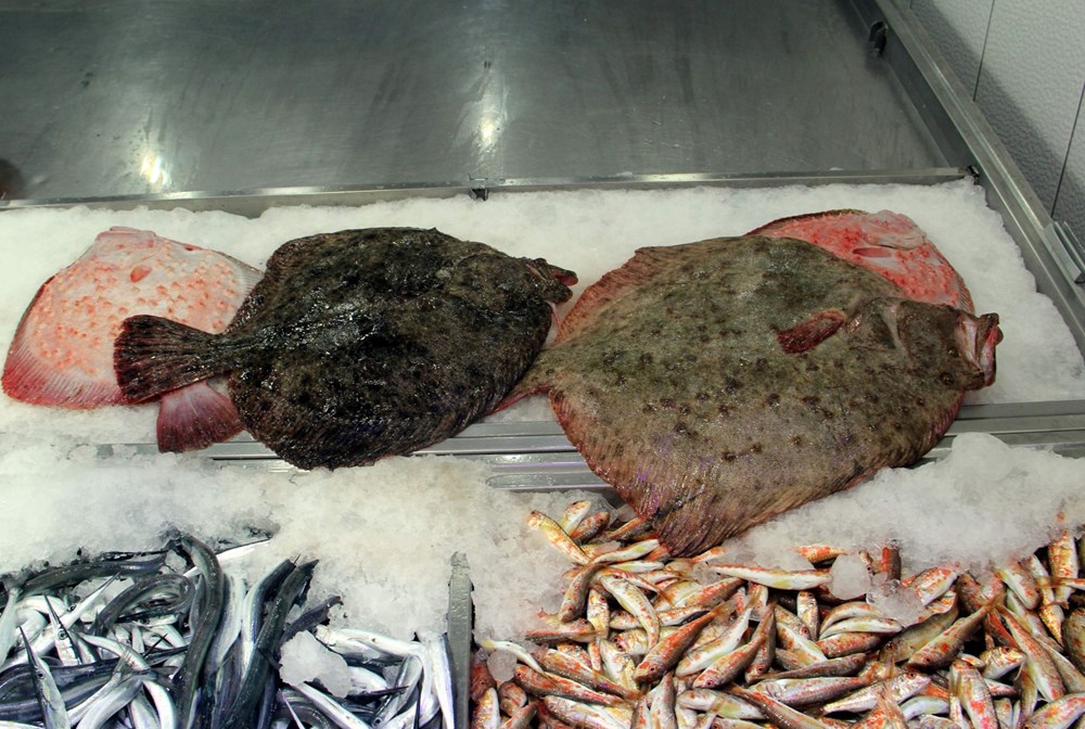 Karadeniz'in en değerlisi: Kilosu 200 lira - 3