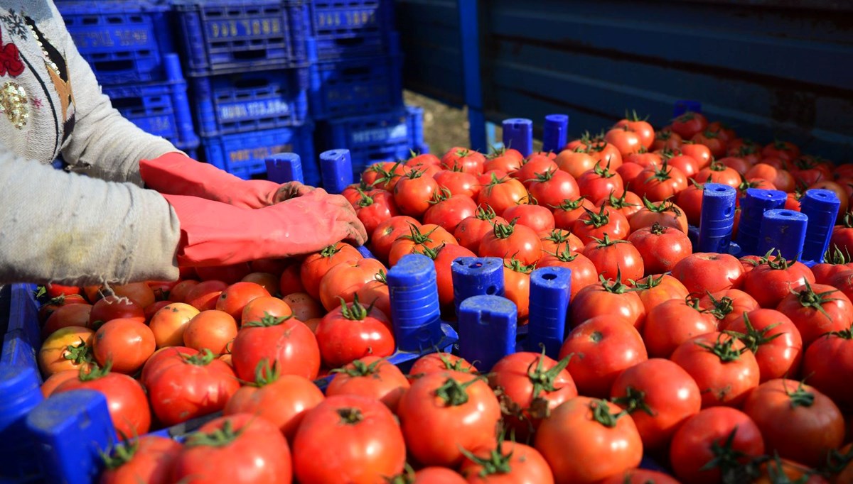 161 milyon dolarlık ihracat