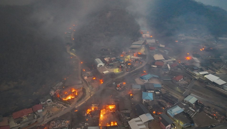 Güney Kore'de orman yangını söndürülemiyor: Ölü sayısı 15'e yükseldi