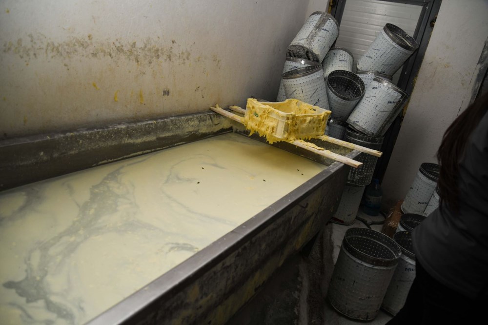 Kaçak peynir imalathanesine baskın - 2