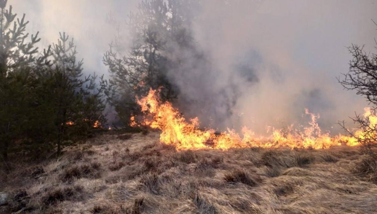 Kastamonu'da ormanlık alanda yangın