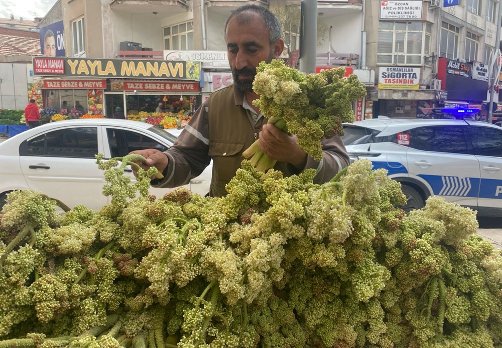 Şeker, kalp ve sarılığa yeterli geldiğine inanılıyor: Dağlarda yetişen doğal şifa tezgahta 76
