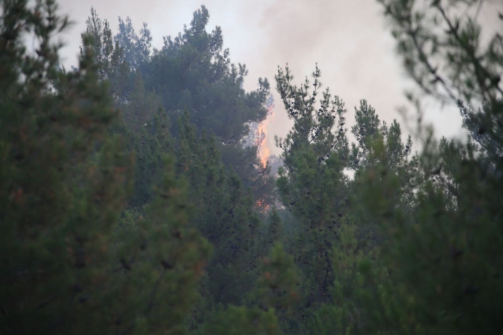 Mersin ve Hatay'da orman yangınları devam ediyor - 3