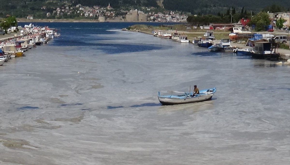 Çanakkale Boğazı'ndan sonra Sarıçay da müsilaj ile kaplandı