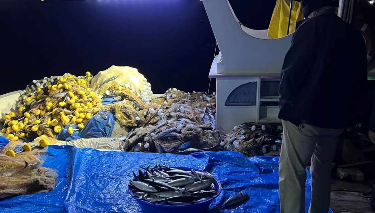 Ordu'da palamut 150 liradan satışta