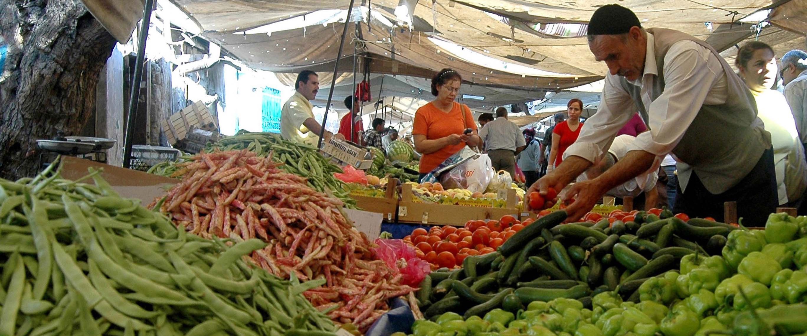 Antalya Etil Alkol Etil Alkol