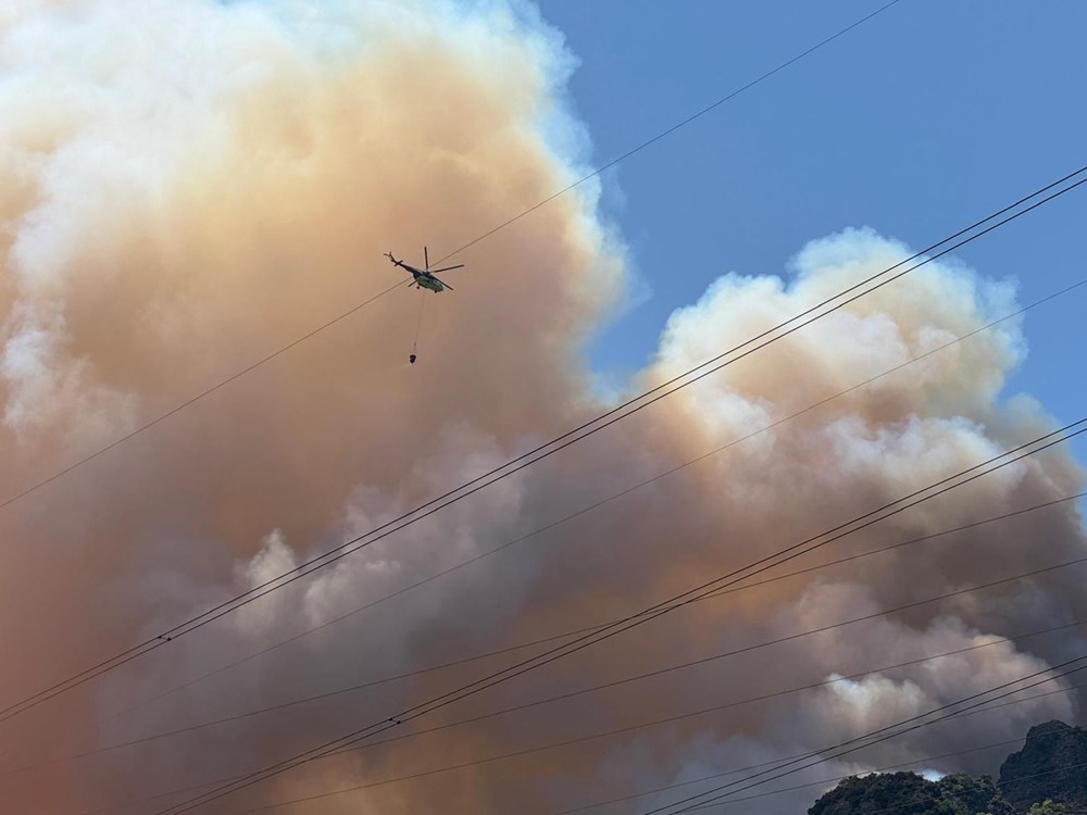 Sakarya'da yeni orman yangını başladı: Dumanlar gökyüzünü sardı - 4