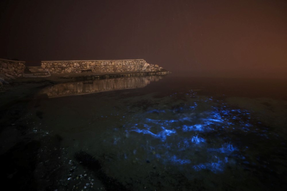 Bursa kıyılarında plankton patlaması: Deniz suyu renk değiştirdi - 6