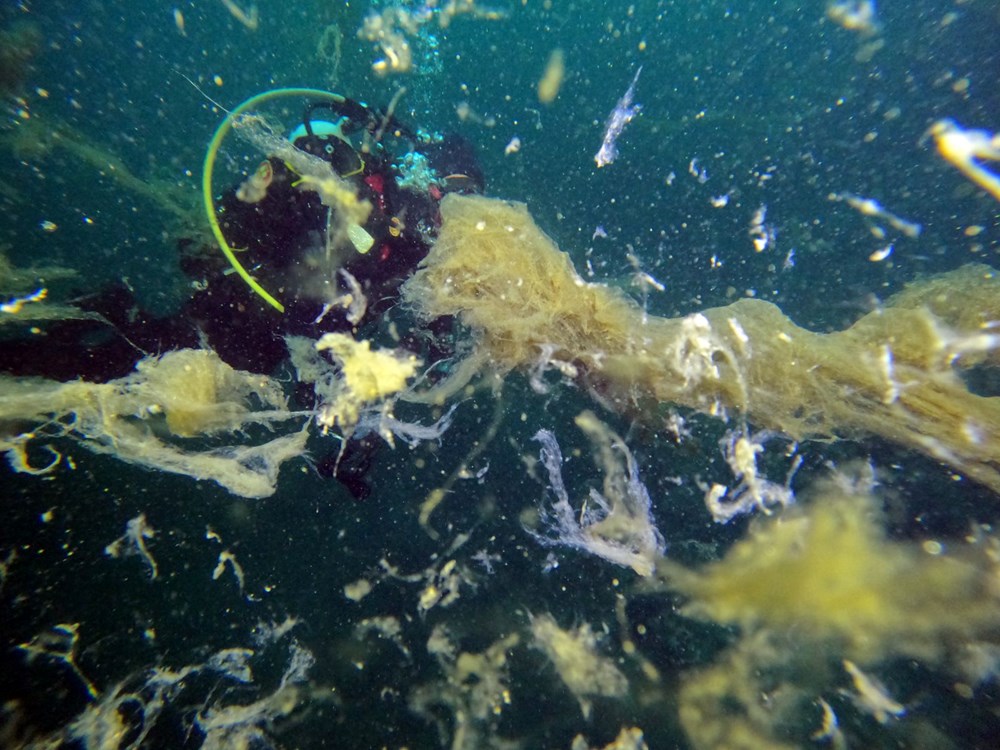 Sualtı görüntülendi... Marmara Denizi'nin müsilajı insan boyutuna ulaştı! Önüne gelen canlıyı hapsediyor - 8