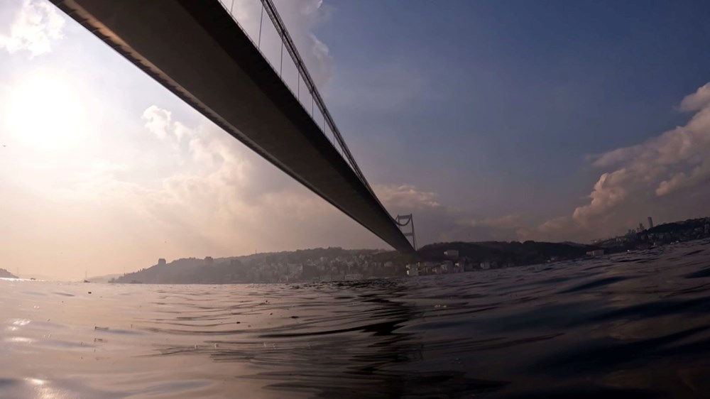 İstanbul Boğazı'nda denizanası istilası devam ediyor - 1