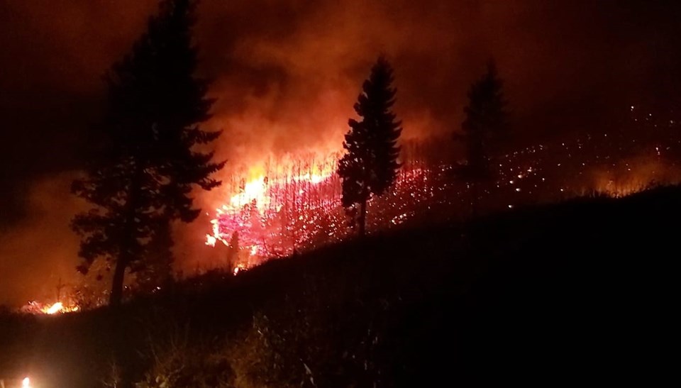 Trabzon'daki yangınlarla ilgili valilikten açıklama - 1