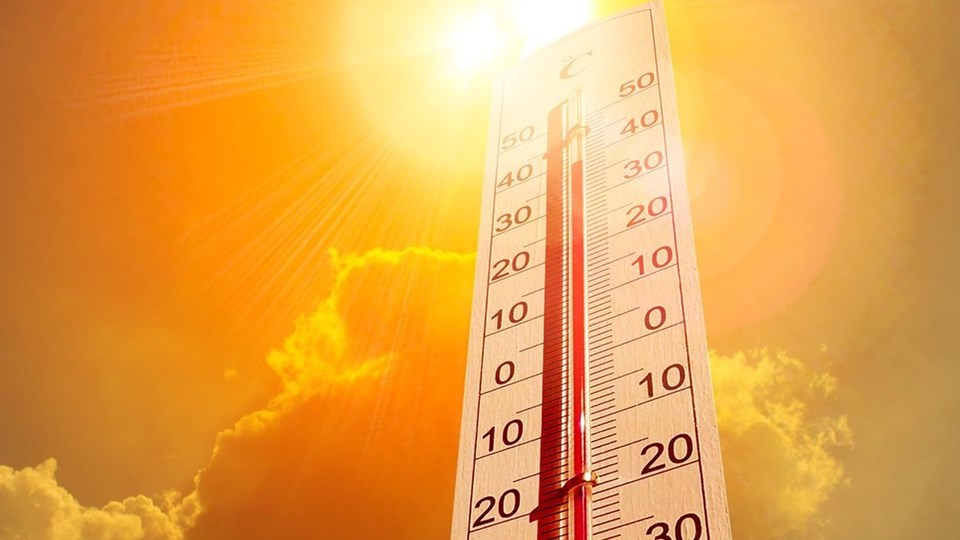 Avrupa'da aşırı sıcaklar: Binlerce kişi hayatını kaybetti - 2