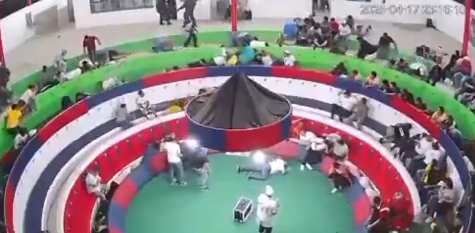Çete terörü horoz dövüşüne sıçradı: 12 kişi öldürüldü - 1
