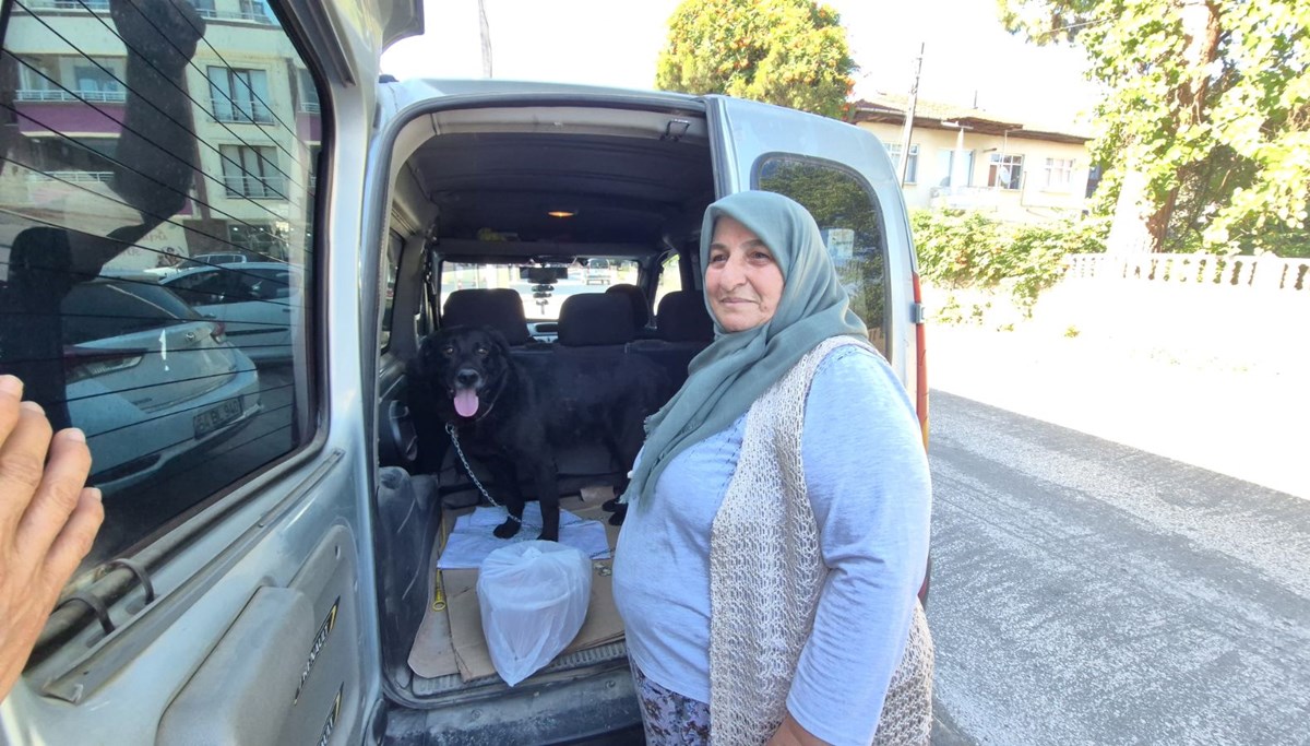 Barınağa götürülen köpeğine 1 yıl sonra kavuştu