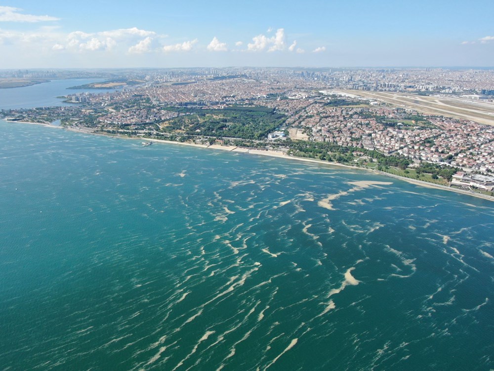 Deniz salyası bu kez Bakırköy kıyılarını sardı - 6