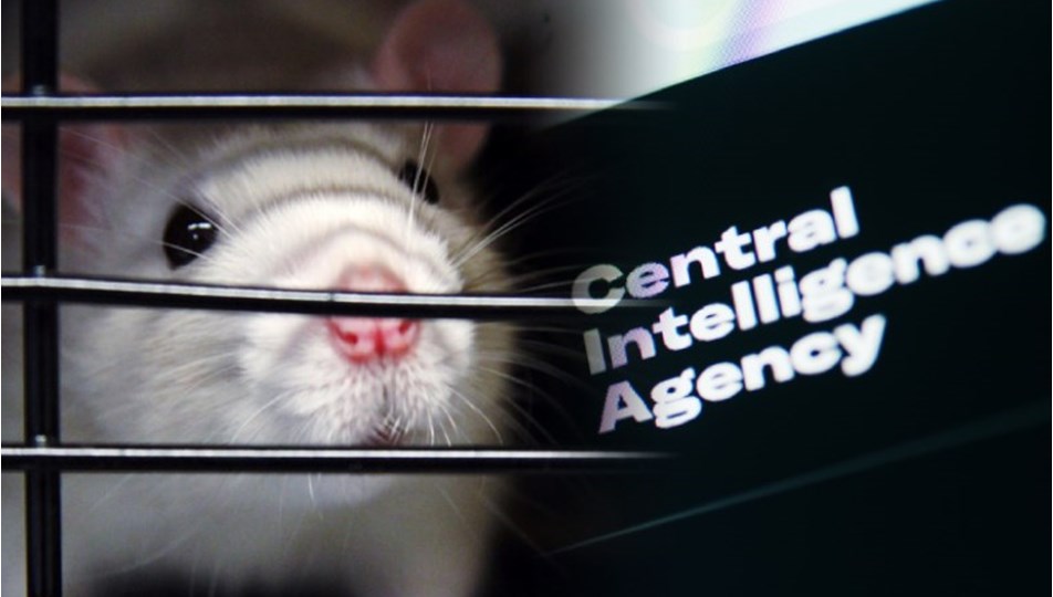 CIA'in en gizli deneyi: