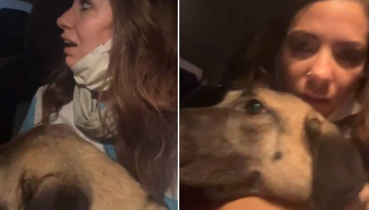 Bursa orman yangını: Kucağındaki köpekle alevlerden kaçtı Bursa orman yangını: Kucağındaki köpekle alevlerden kaçtı