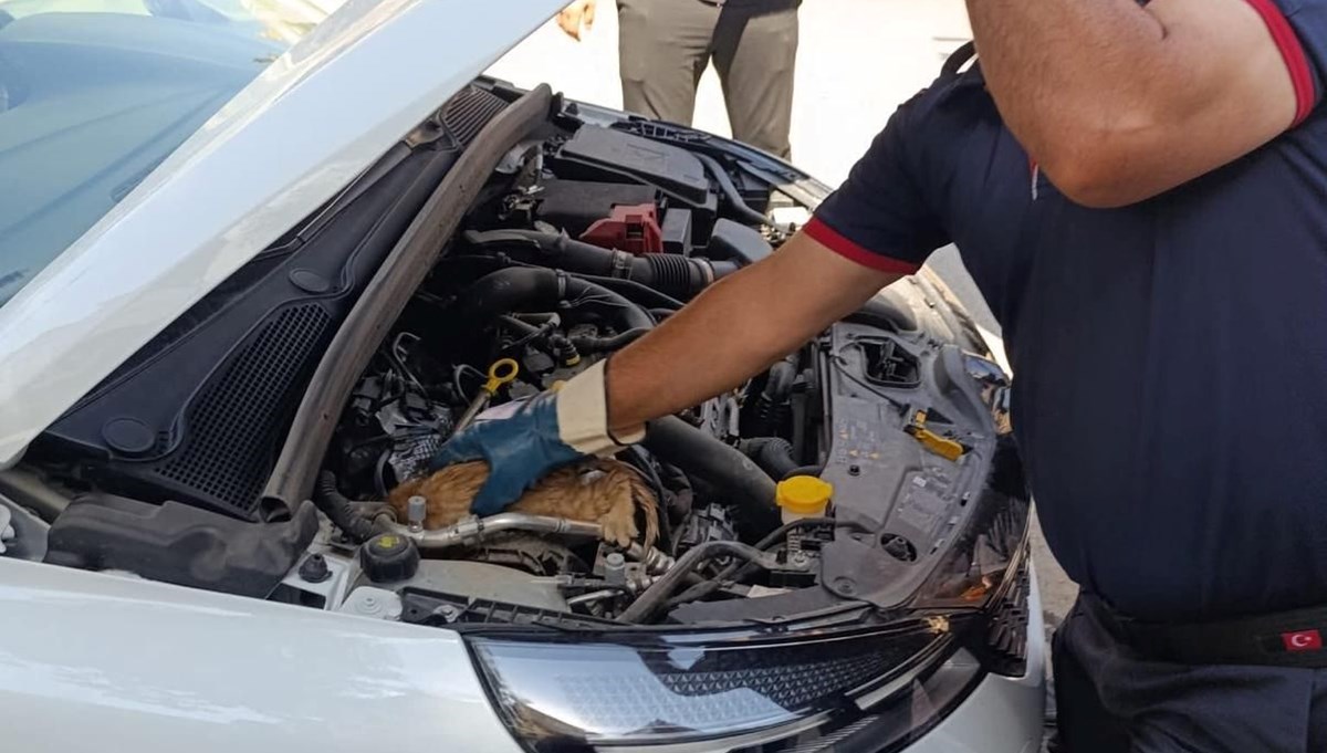 Araç motoruna sıkışan yavru kediye yardım eli