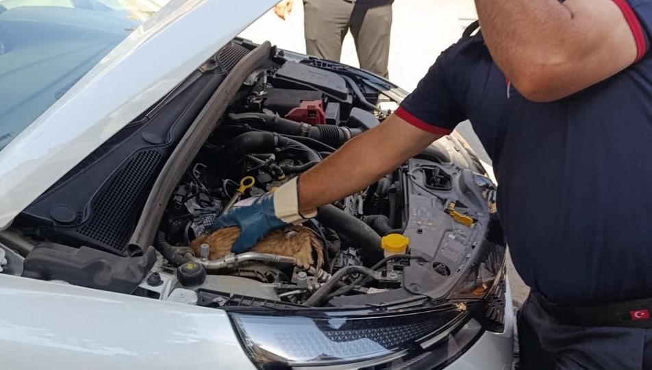Aracın motoruna sıkışan yavru kedi kurtarıldı