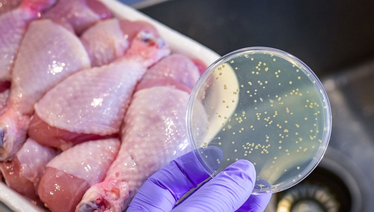 Gıda zehirlenmesi neden olur? Hayati riski var