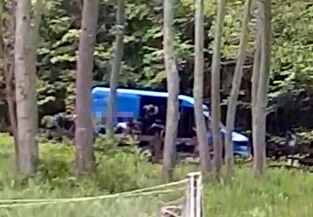 SkQ6ILZtA0GEgt23D-CZtw.jpg