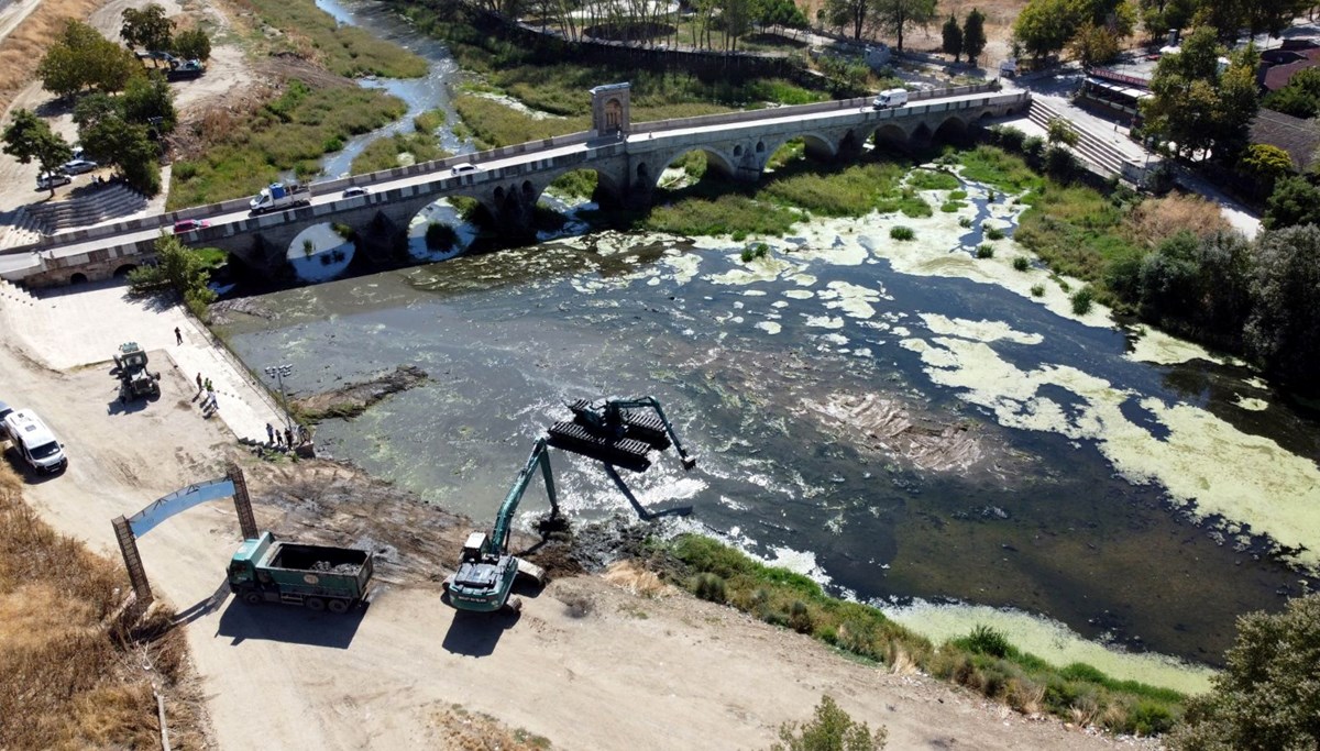 Tunca Nehri'ni ot kapladı