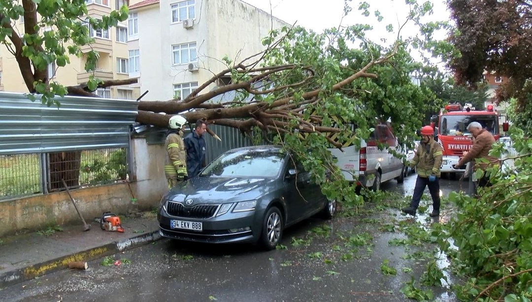 İstanbul'da park halindeki araçların üzerine ağaç devrildi