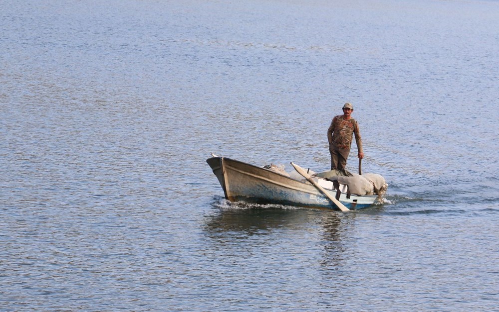Yeşilırmak ve Kızılırmak’ta 'İsrail sazanı' tehdidi - 4