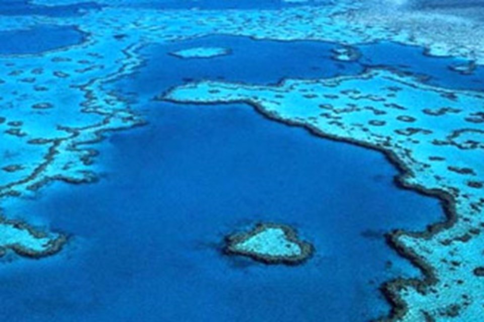 Harikalar denizi: Büyük Set Resifi - 1