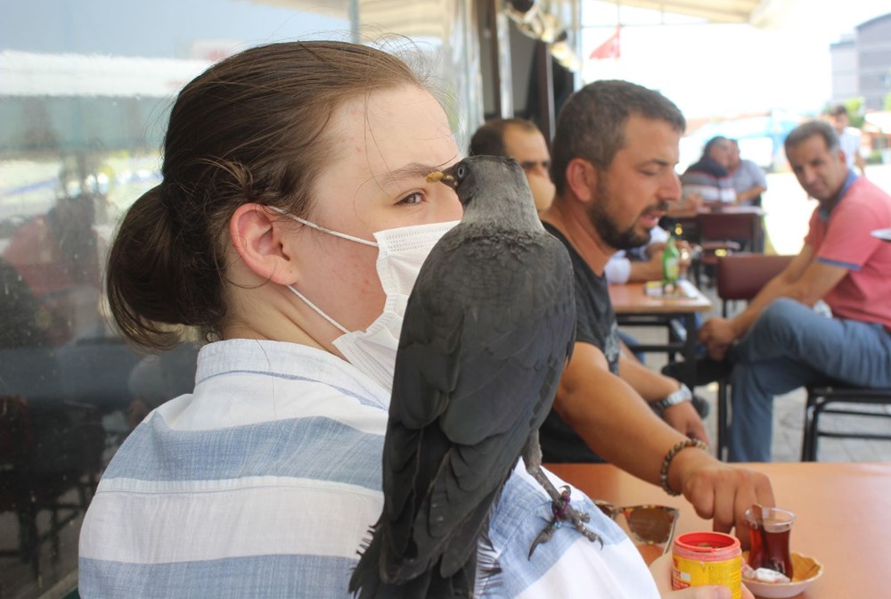 Karga bir an olsun yanından ayrılmıyor - 1
