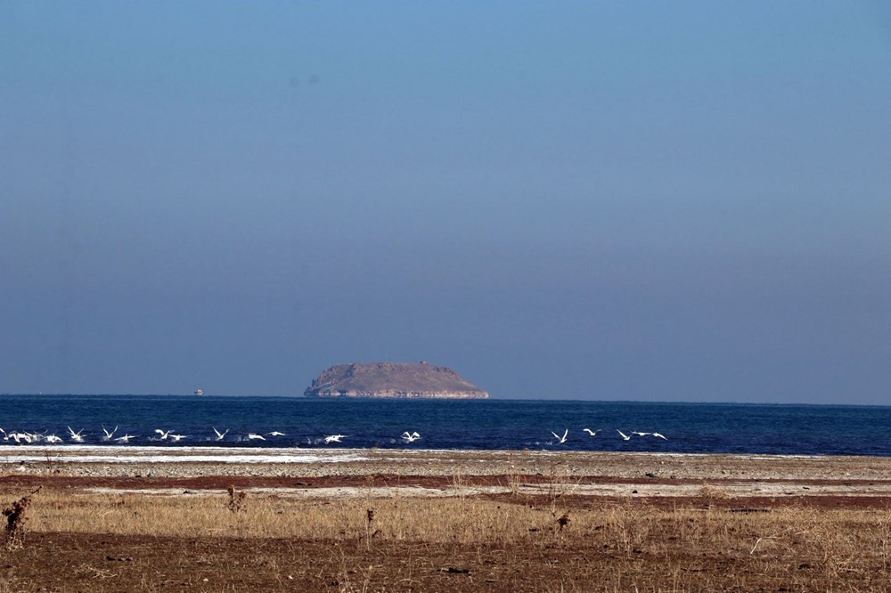 Jandarmanın kuğu nöbeti: Nesilleri tehlike altında - 11