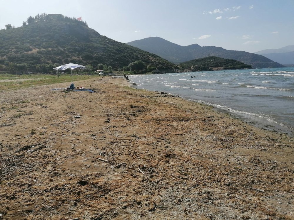 Eğirdir Gölü için tehlike çanları çalıyor - 9