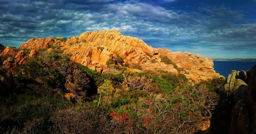 'İtalyan Robinson Crusoe' 32 yıldır tek başına yaşadığı adadan ayrılıyor - 4